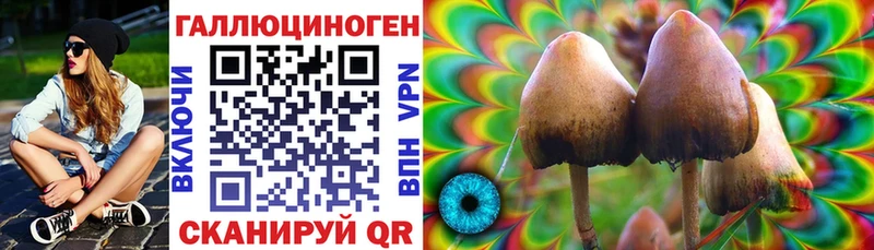 купить наркотик Узловая Галлюциногенные грибы Psilocybine cubensis