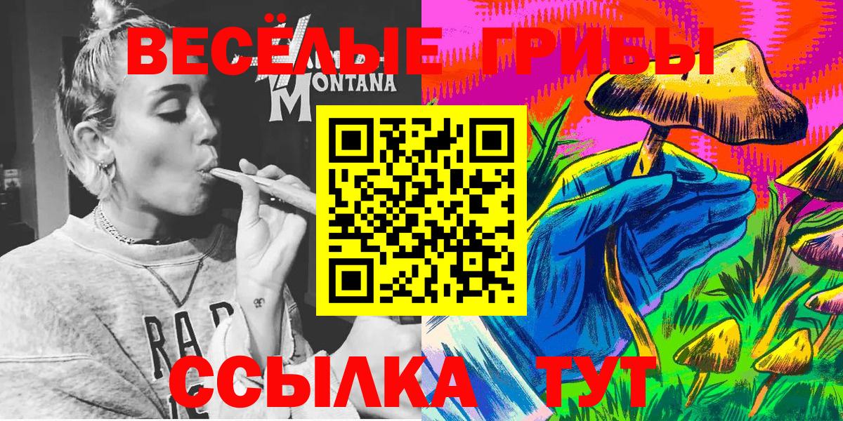 Псилоцибиновые грибы Psilocybine cubensis Узловая