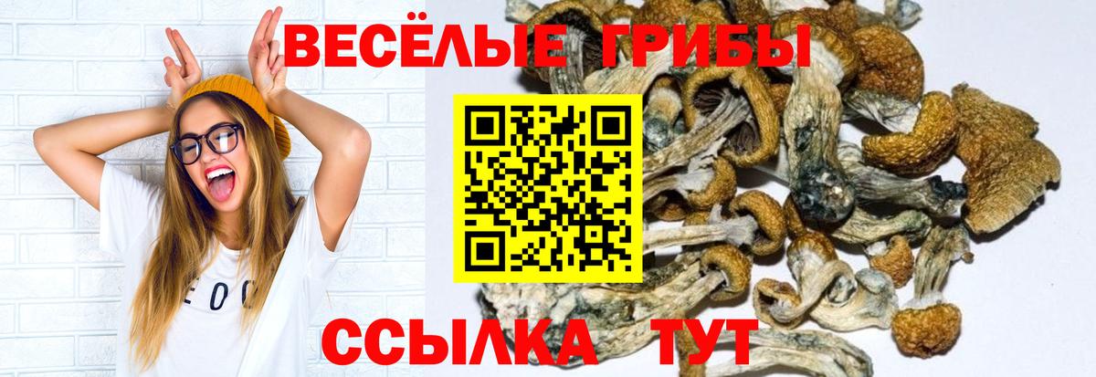 Псилоцибиновые грибы Psilocybine cubensis  Вход с VPN  Узловая  Галлюциногенные грибы прущие грибы 
